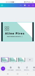 ALINE PIRES PREVIDENCIARISTA