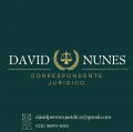 DAVID NUNES